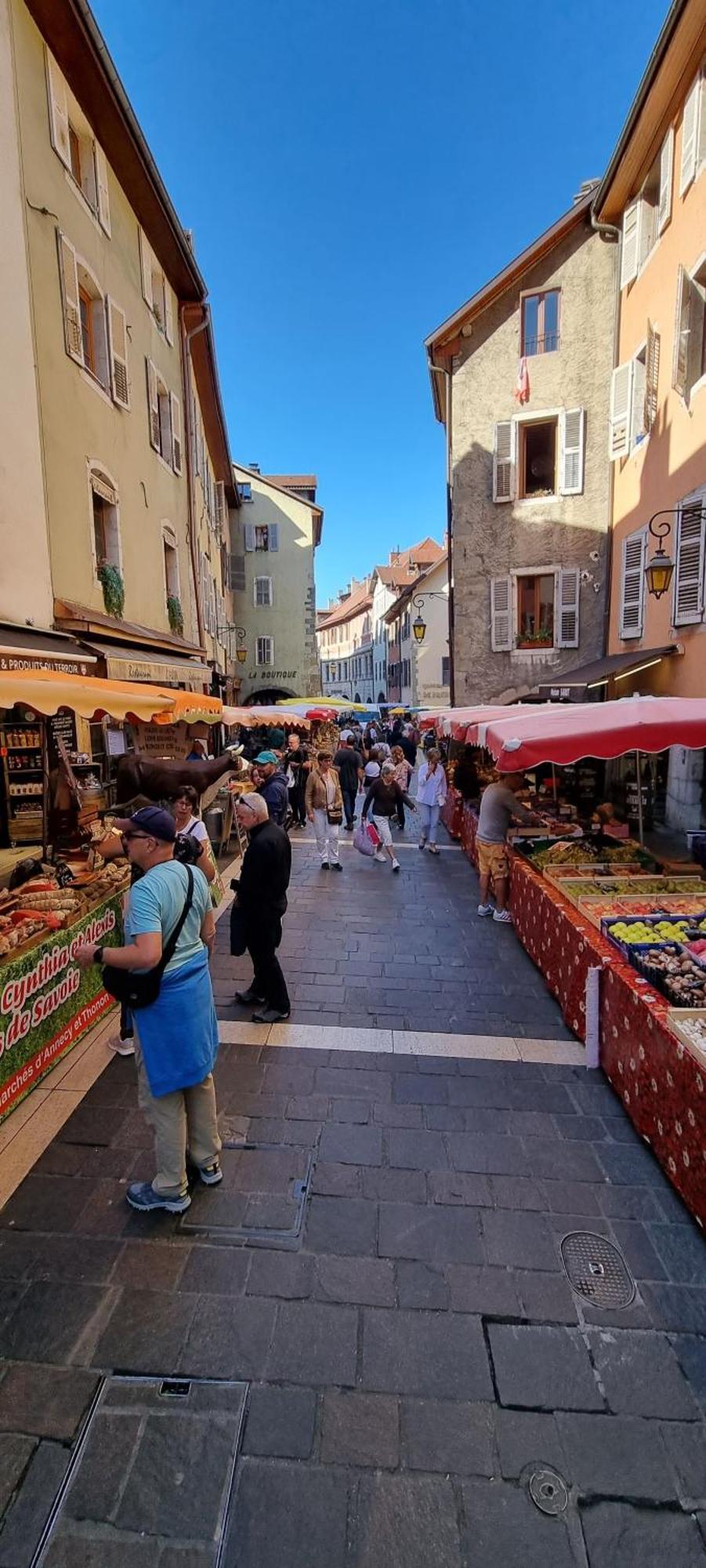 Appartement De Charme Au Coeur De La Vieille Ville Annecy Eksteriør billede