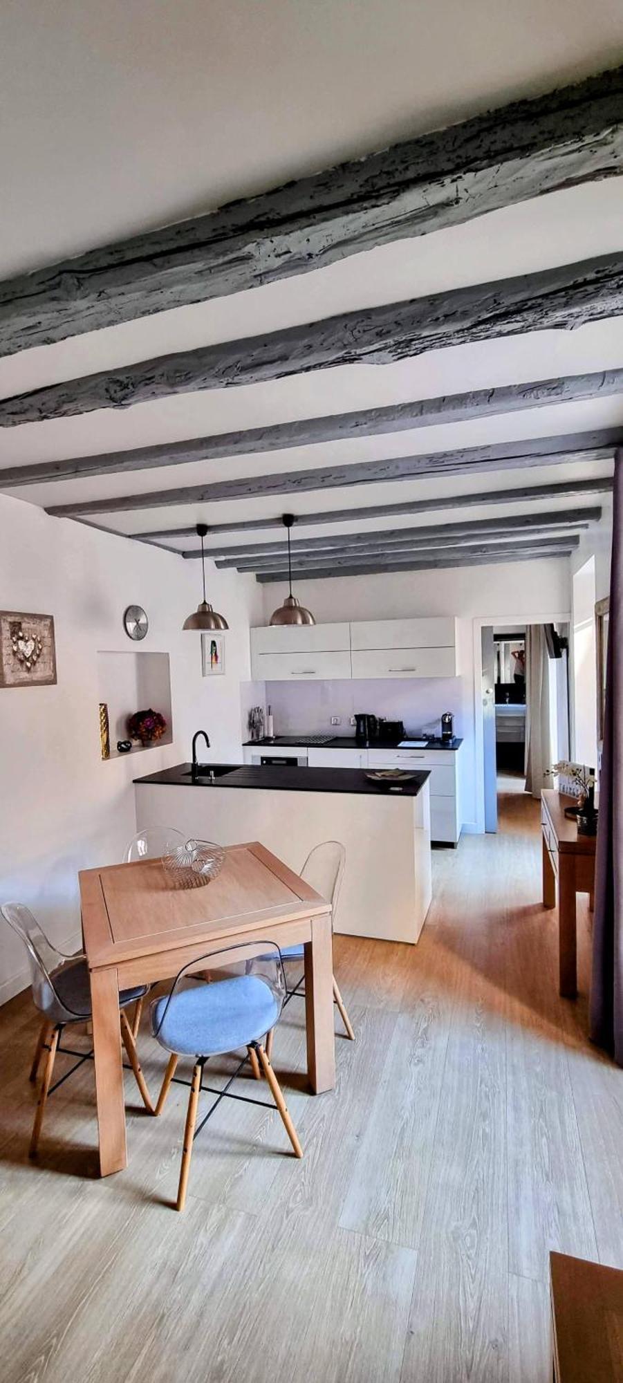 Appartement De Charme Au Coeur De La Vieille Ville Annecy Eksteriør billede