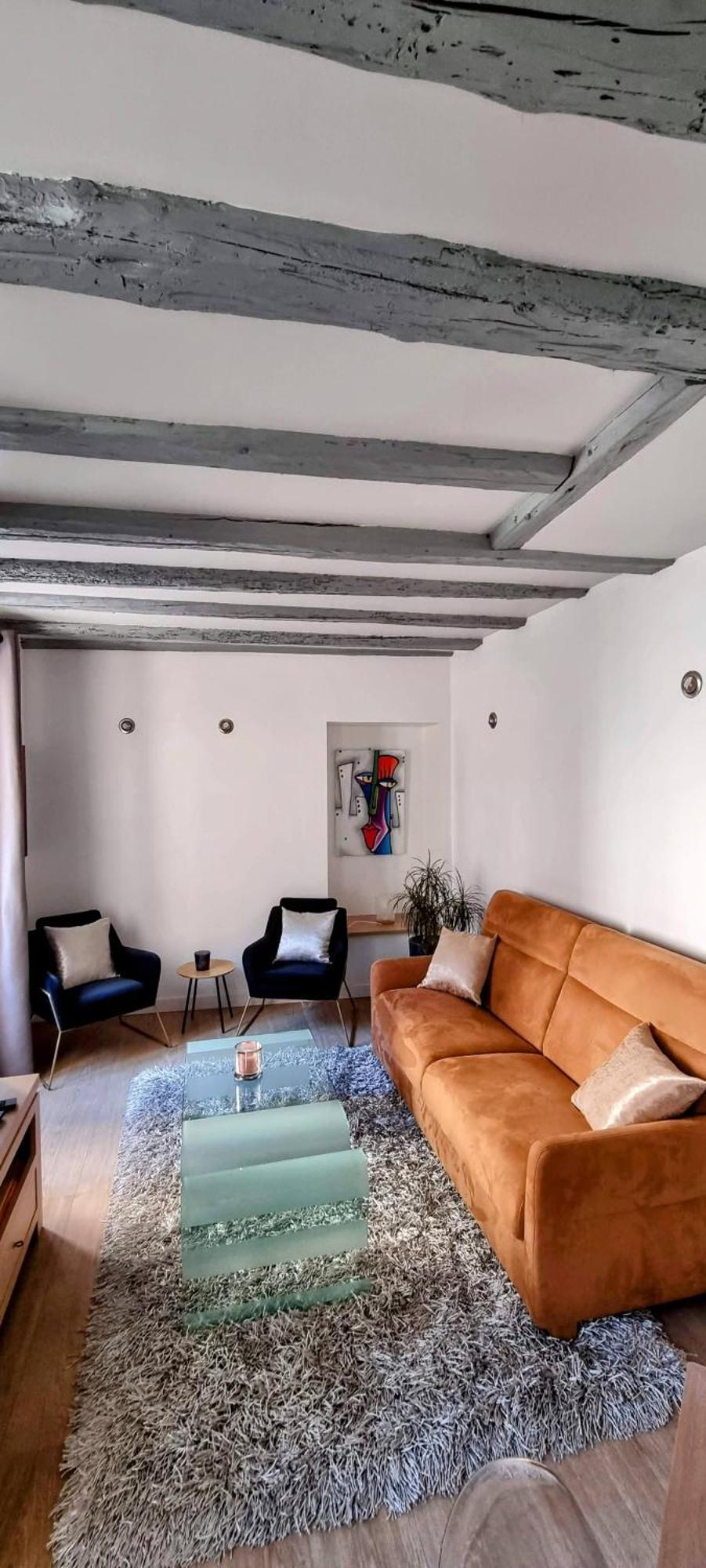 Appartement De Charme Au Coeur De La Vieille Ville Annecy Eksteriør billede
